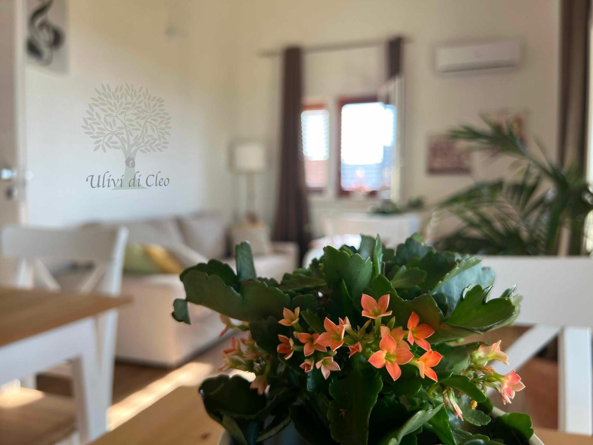 Ulivi Di Cleo Guest House Realmonte Luaran gambar